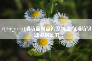 舟山消防官网查询系统查询消防职业资格证书