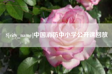 舟山中国消防中小学公开课回放