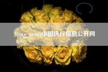 舟山中国执行信息公开网