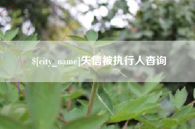 舟山失信被执行人杳询