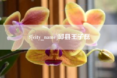 舟山邱县王子磊