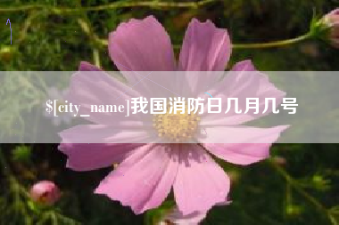 舟山我国消防日几月几号