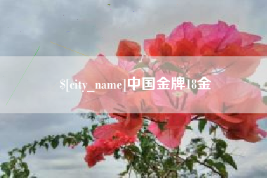 舟山中国金牌18金