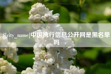 舟山中国执行信息公开网是黑名单吗