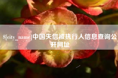舟山中国失信被执行人信息查询公开网址