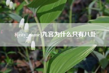 舟山九宫为什么只有八卦