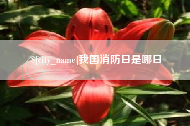 舟山我国消防日是哪日
