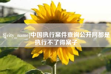 舟山中国执行案件查询公开网都是执行不了得案子