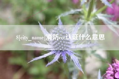 舟山消防ccc认证什么意思