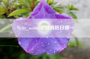 舟山全国消防日哪一