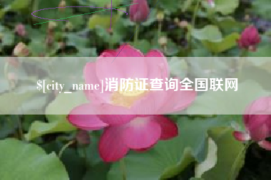 舟山消防证查询全国联网