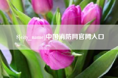 舟山中国消防网官网入口