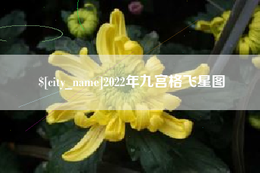 舟山2022年九宫格飞星图