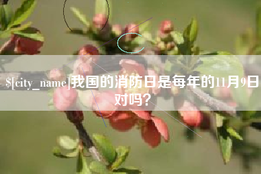 舟山我国的消防日是每年的11月9日对吗？