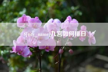 舟山九宫如何排日