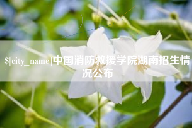 舟山中国消防救援学院湖南招生情况公布