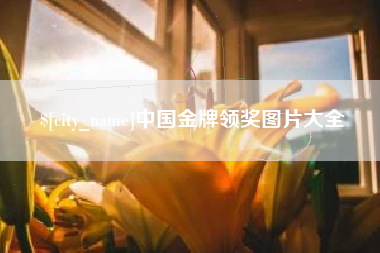 舟山中国金牌领奖图片大全
