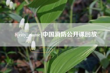舟山中国消防公开课回放