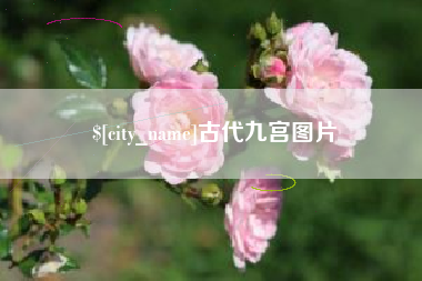 舟山古代九宫图片