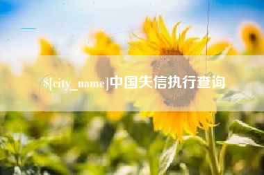 舟山中国失信执行查询