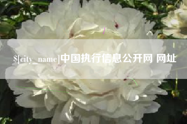 舟山中国执行信息公开网 网址