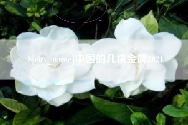 舟山中国的几块金牌2021