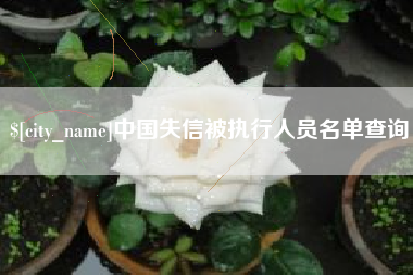 舟山中国失信被执行人员名单查询