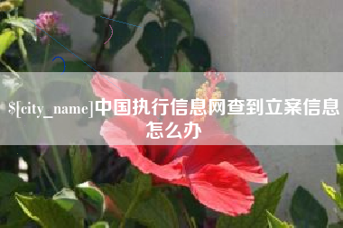 舟山中国执行信息网查到立案信息怎么办