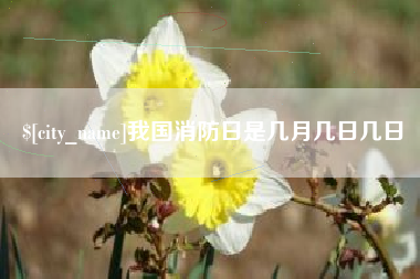 舟山我国消防日是几月几日几日