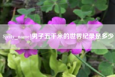 舟山男子五千米的世界纪录是多少