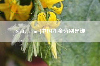 舟山中国九金分别是谁
