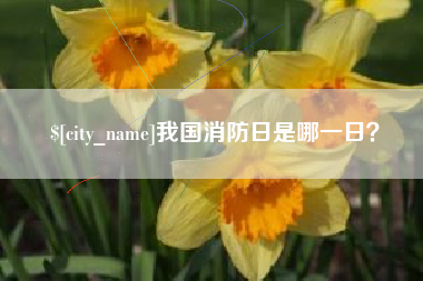 舟山我国消防日是哪一日？