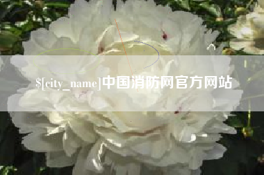 舟山中国消防网官方网站