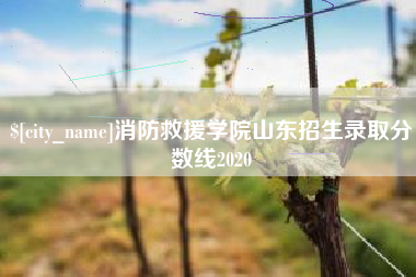 舟山消防救援学院山东招生录取分数线2020