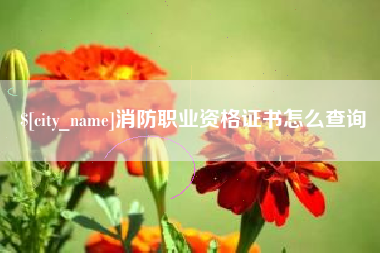 舟山消防职业资格证书怎么查询
