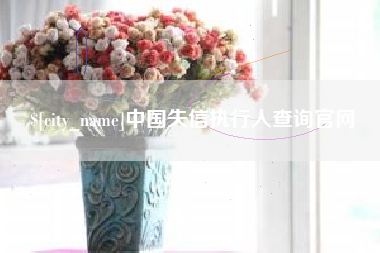 舟山中国失信执行人查询官网