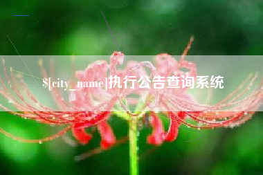 舟山执行公告查询系统