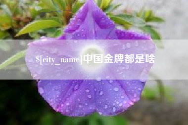 舟山中国金牌都是啥