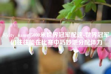 舟山5000米世界冠军配速-世界冠军们往往能在比赛中巧妙地分配体力