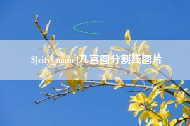 舟山九宫图分割线图片