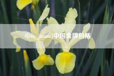 舟山中国金牌包括