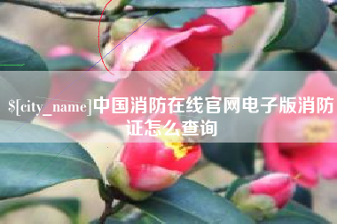 舟山中国消防在线官网电子版消防证怎么查询