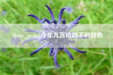舟山今年九宫格的不利颜色