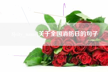 舟山关于全国消防日的句子