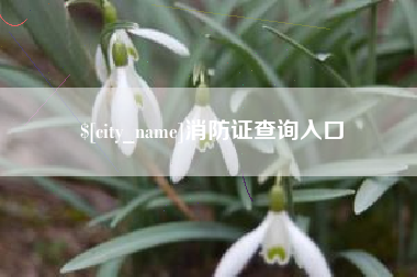 舟山消防证查询入口