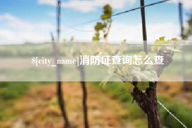 舟山消防证查询怎么查