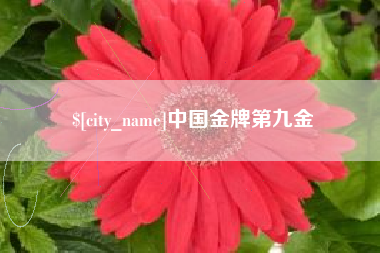 舟山中国金牌第九金