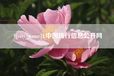 舟山1.中国执行信息公开网