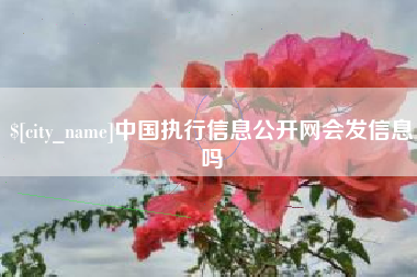 舟山中国执行信息公开网会发信息吗