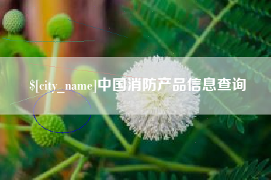 舟山中国消防产品信息查询